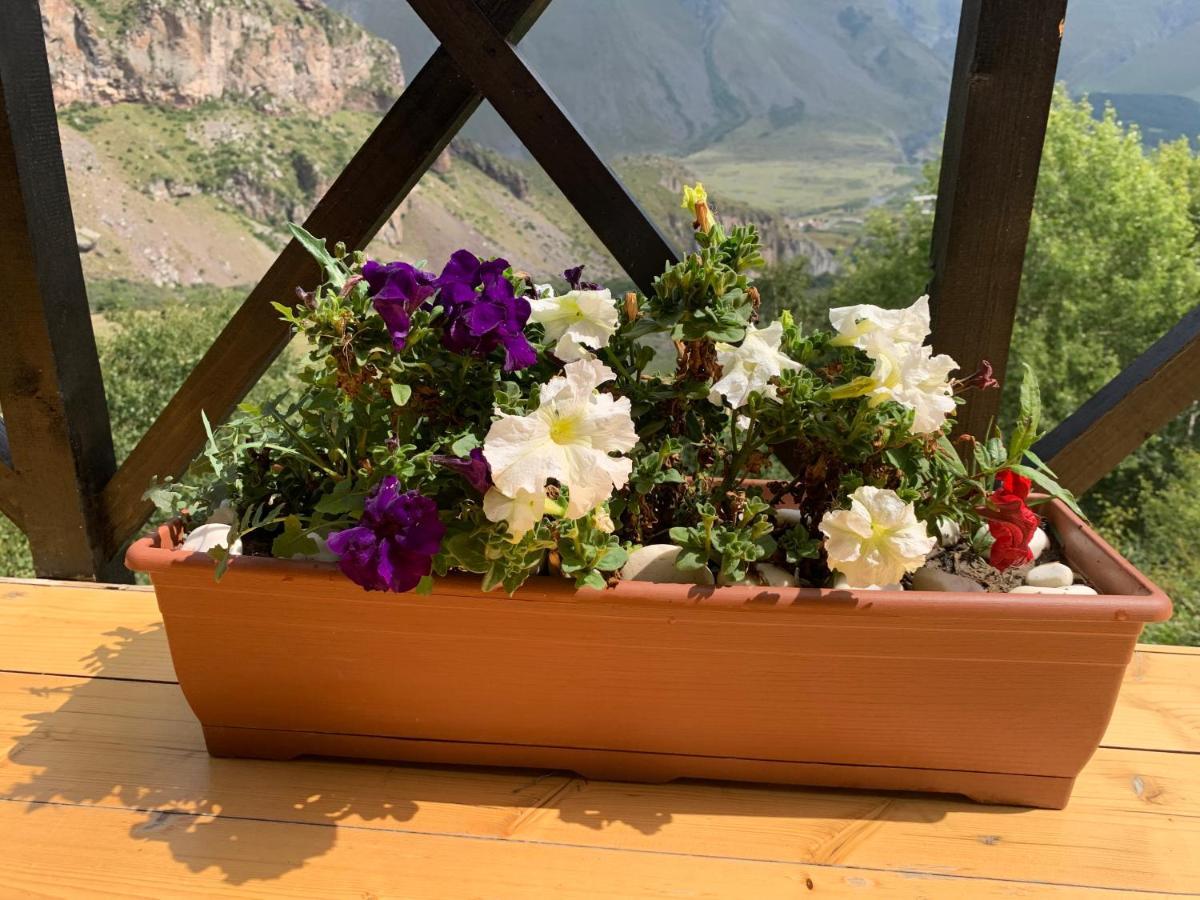 Villa View Kazbegi Esterno foto