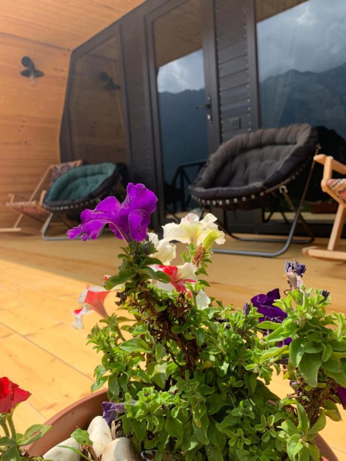 Villa View Kazbegi Esterno foto